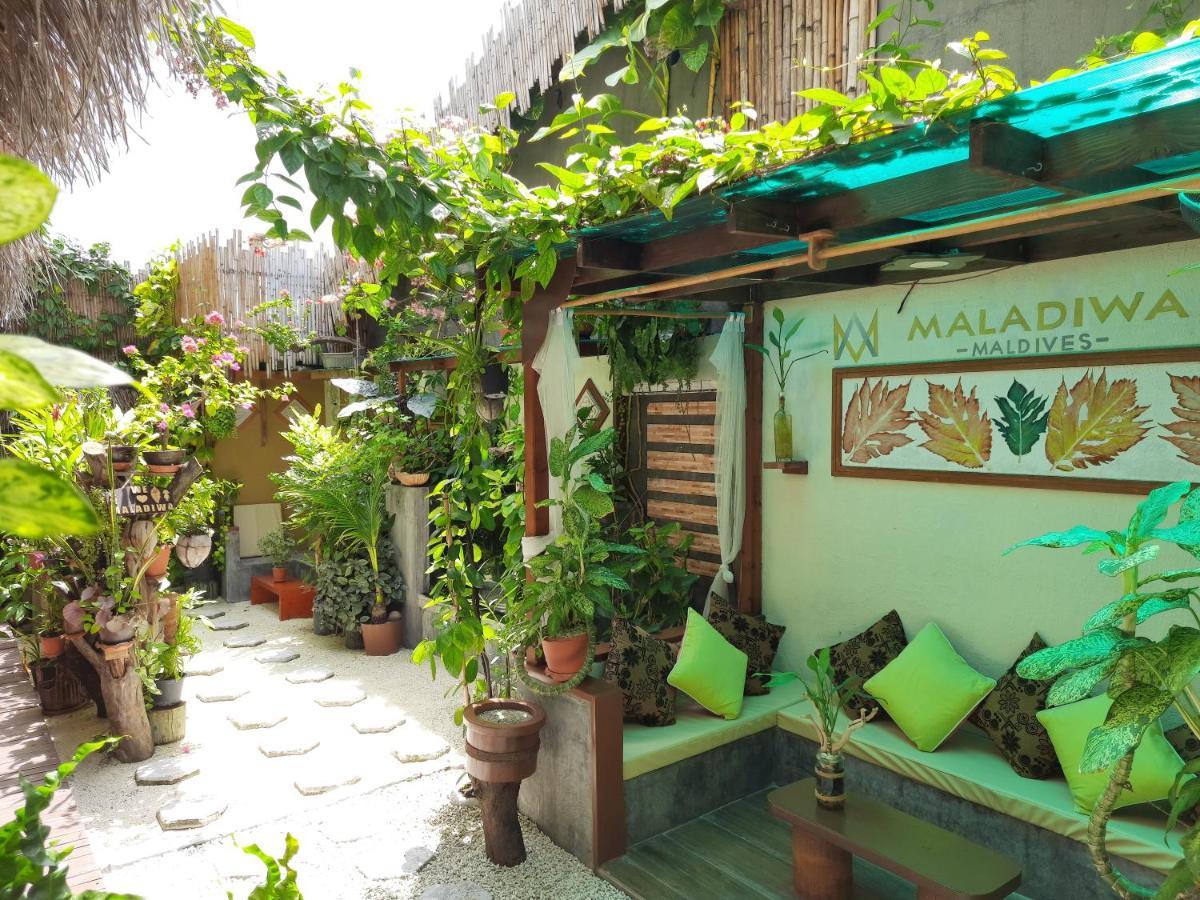 Maladiwa Beach & Spa Maafushi Exterior photo